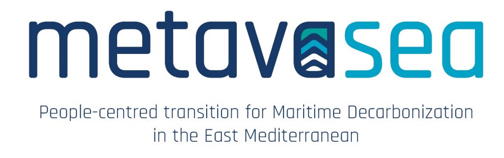 Metavasea logo guidelines